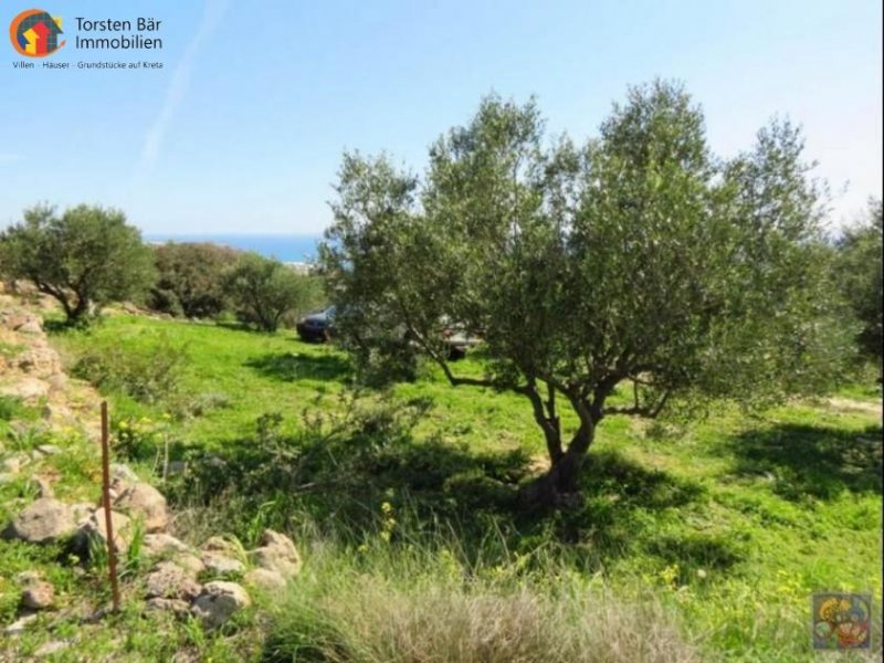 Makrigialos Kreta, Makrigialos Grundstück von 2.000m² mit wunderschönem Meerblick. Grundstück kaufen